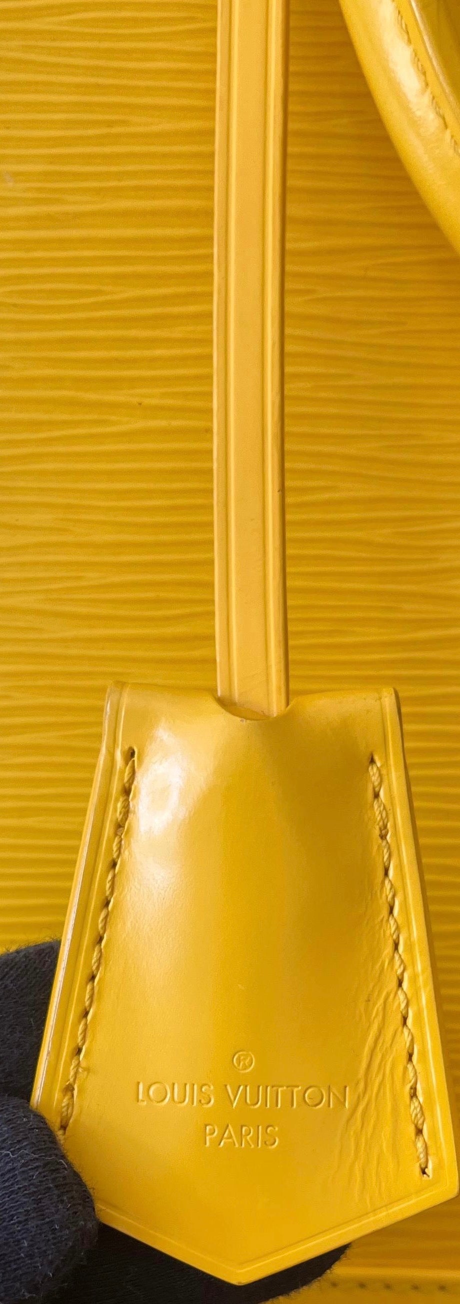 Louis Vuitton Alma GM Epi