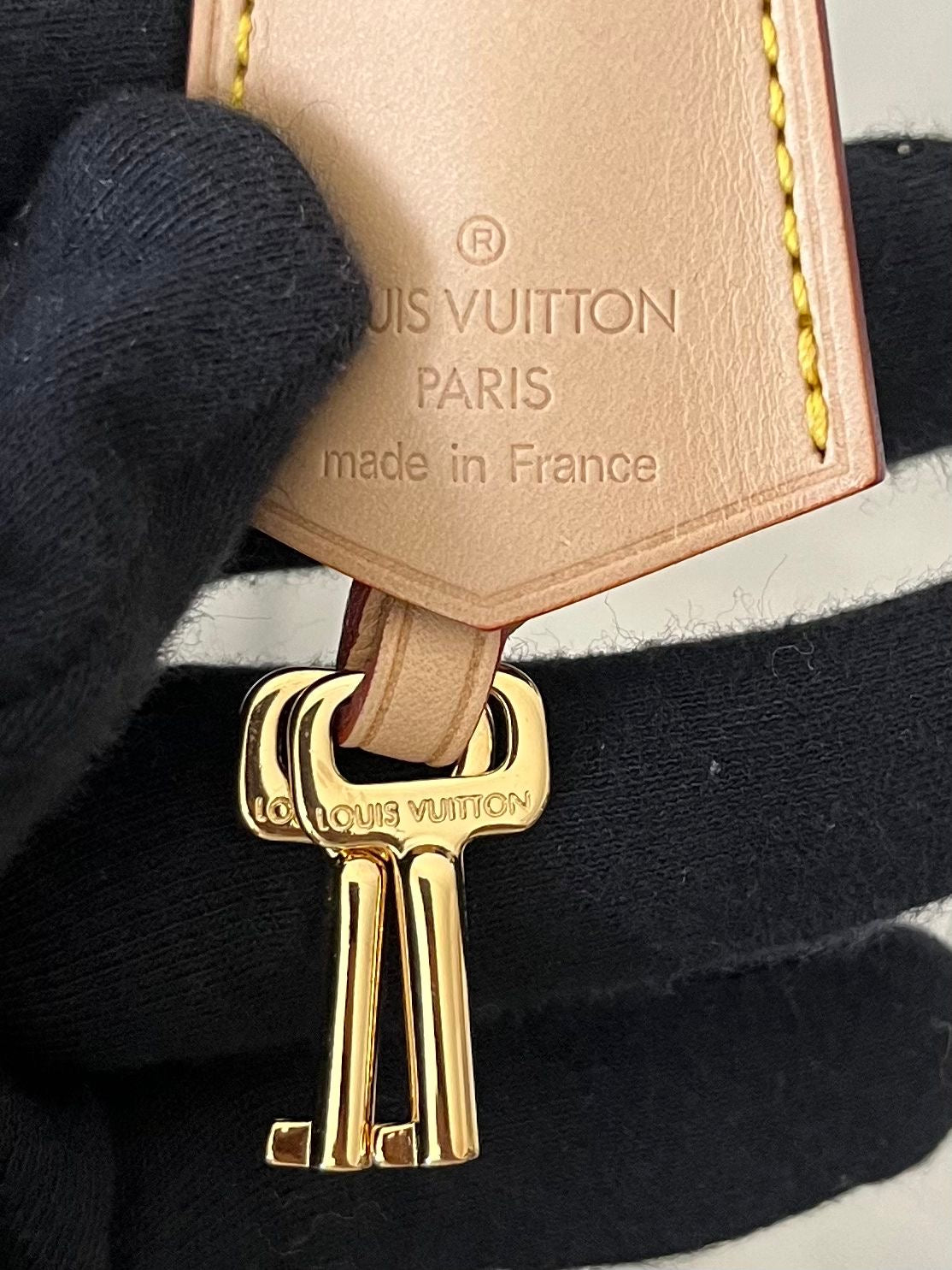 Louis Vuitton Speedy 30 Multicolor x Takashi Murakami