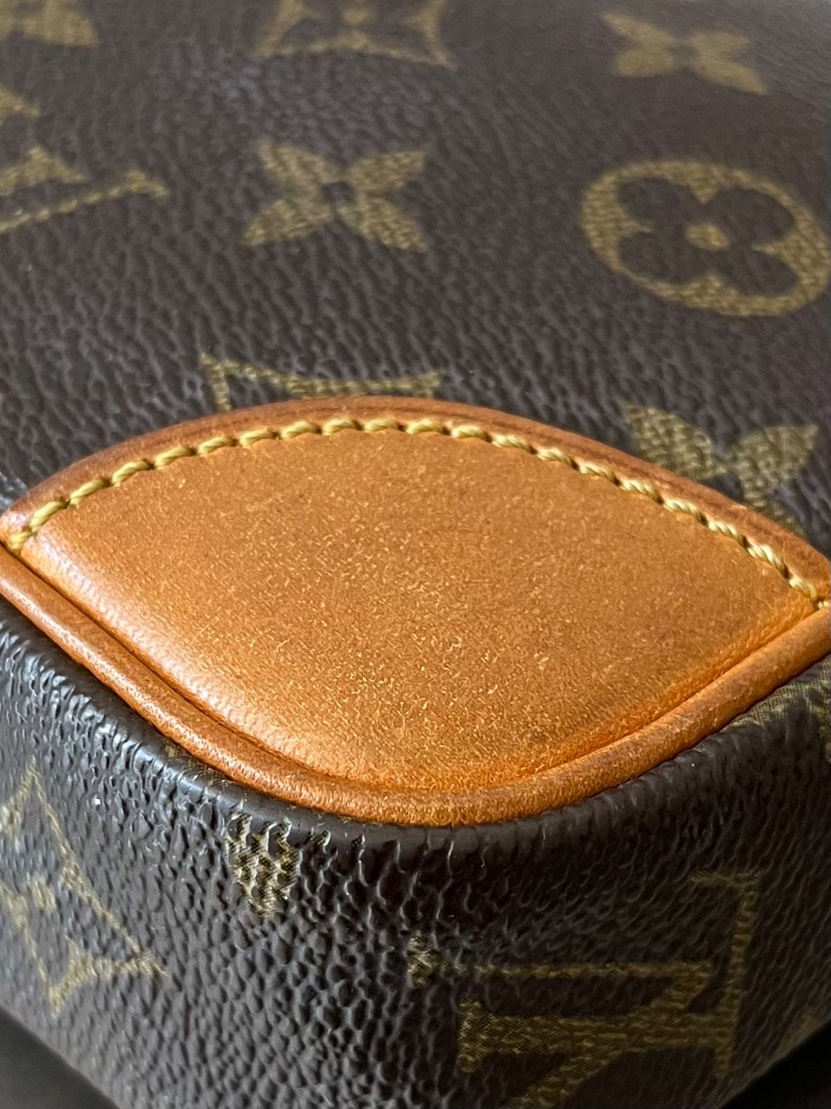 Louis Vuitton Marly Dragonne PM