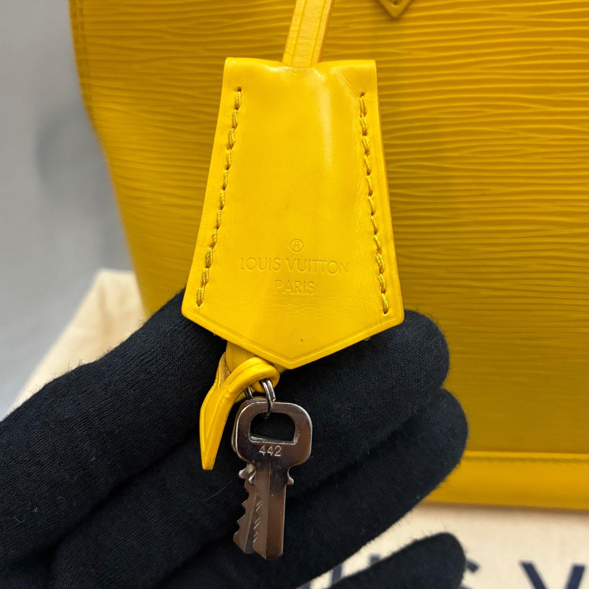Louis Vuitton Alma PM Epi