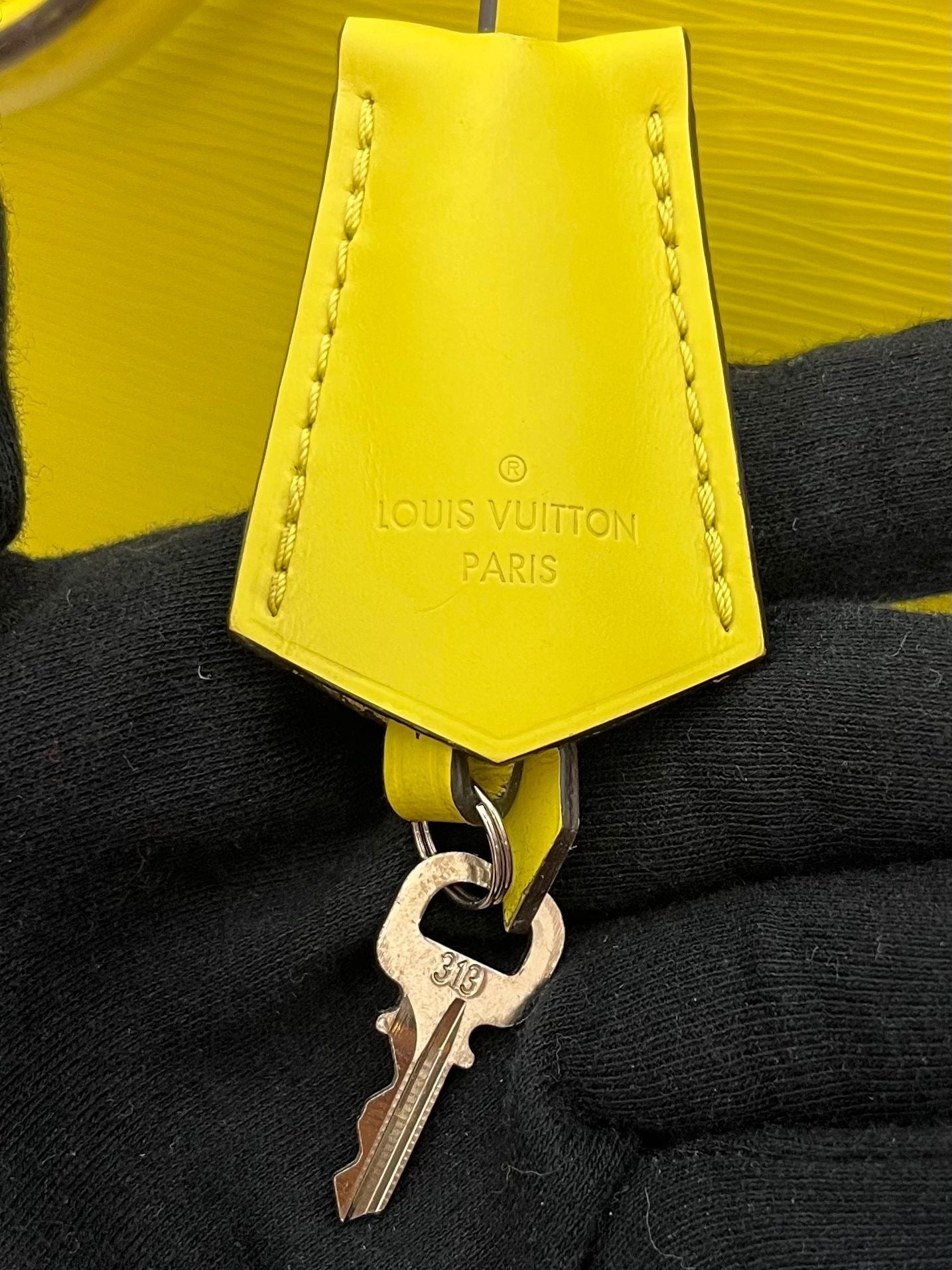 Louis Vuitton Alma PM Epi