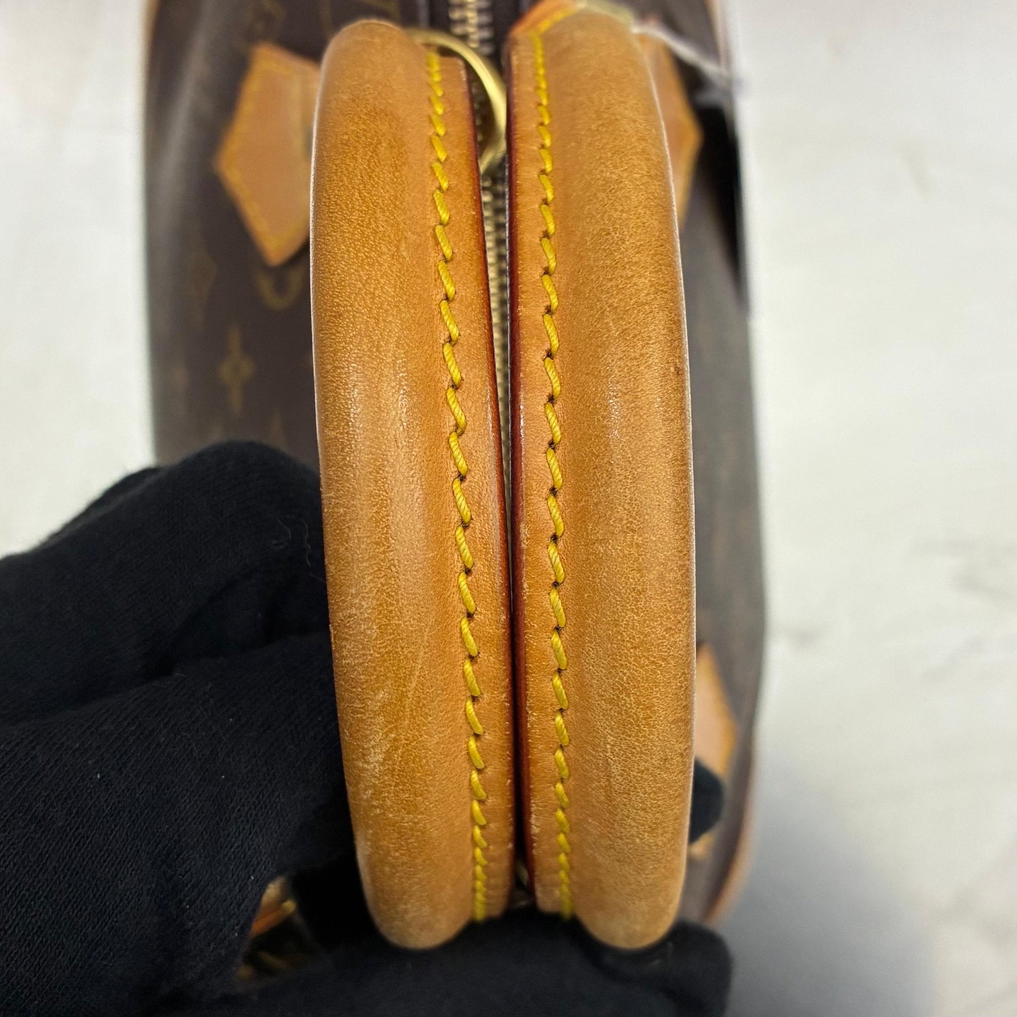 Louis Vuitton Alma PM Monogram