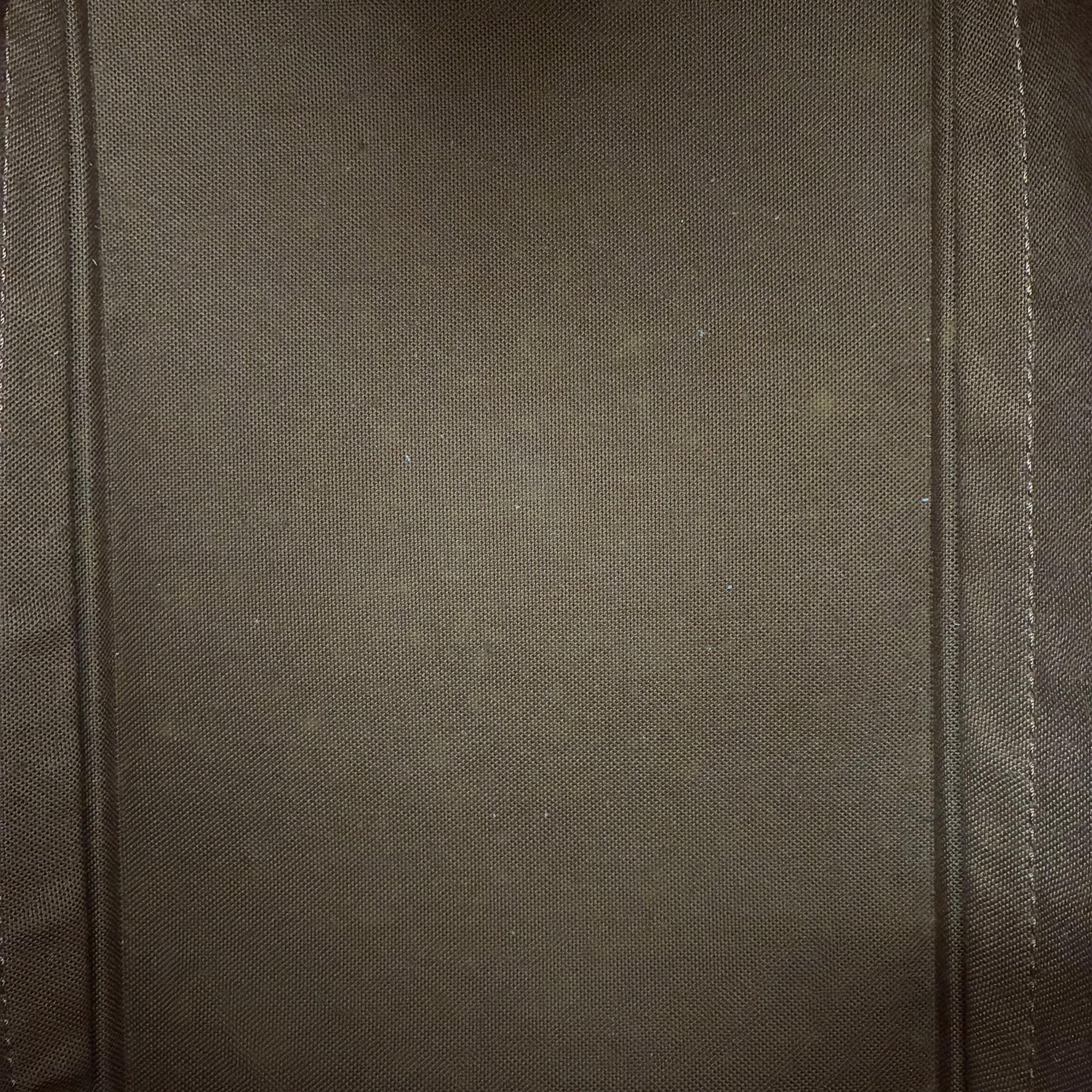 Louis Vuitton Alma PM Monogram