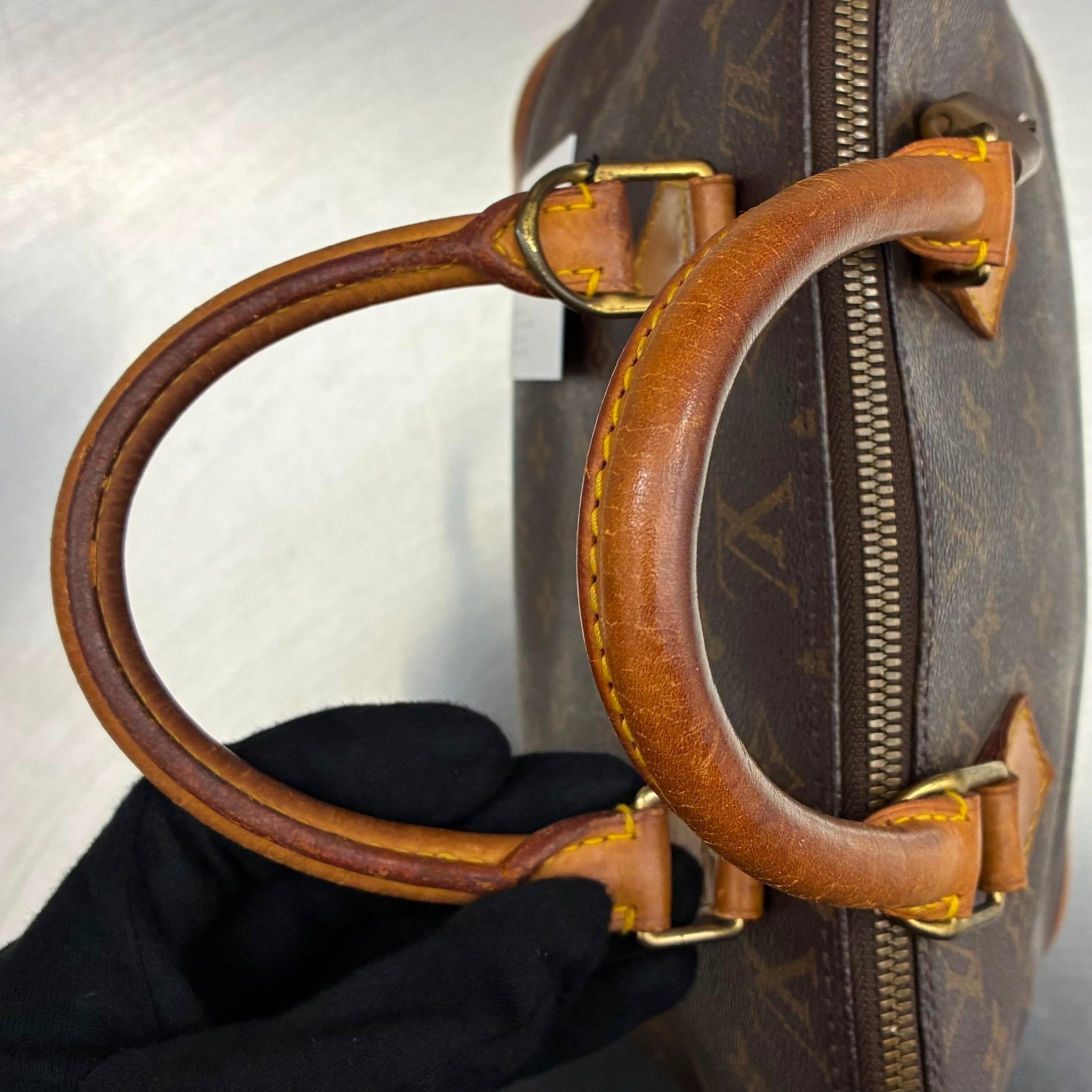 Louis Vuitton Alma PM Monogram