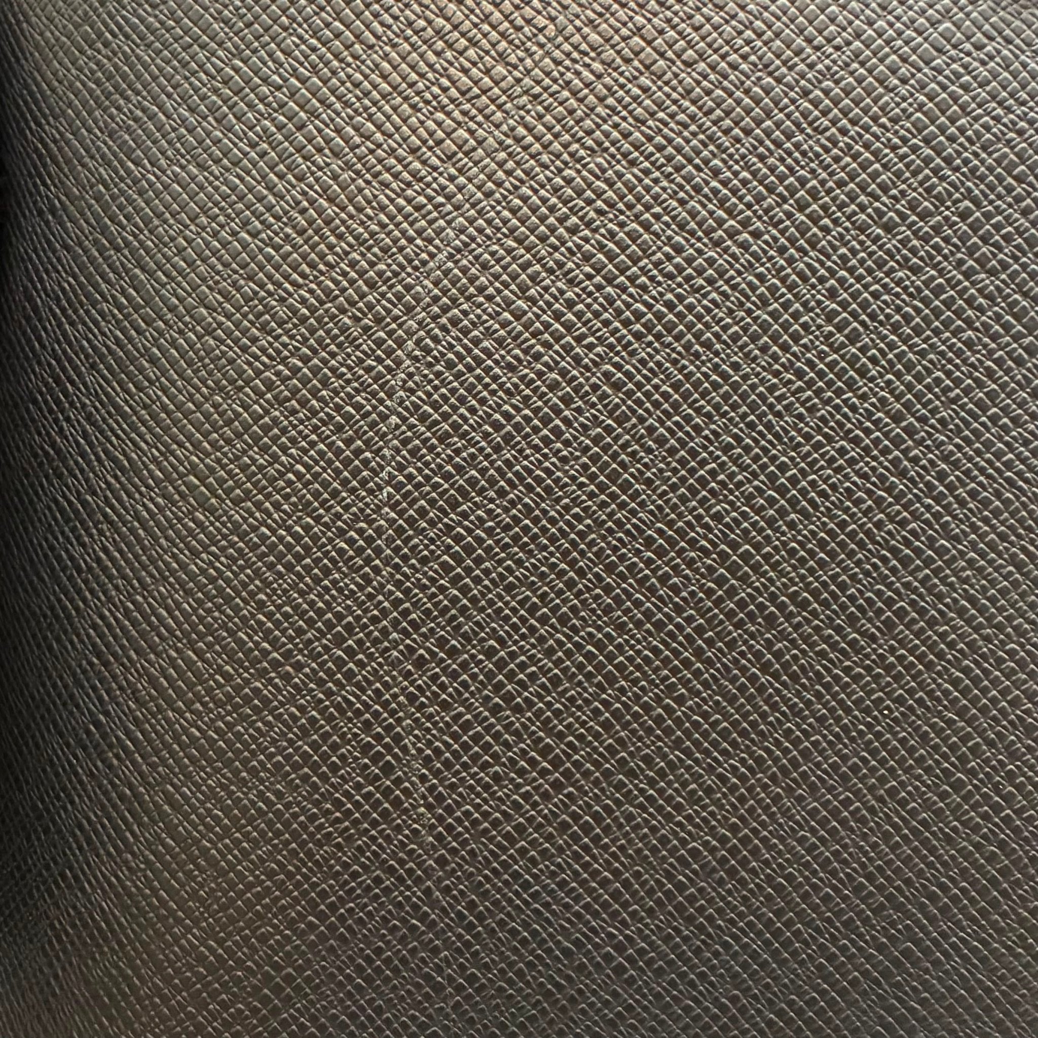 Louis Vuitton Anton Taiga