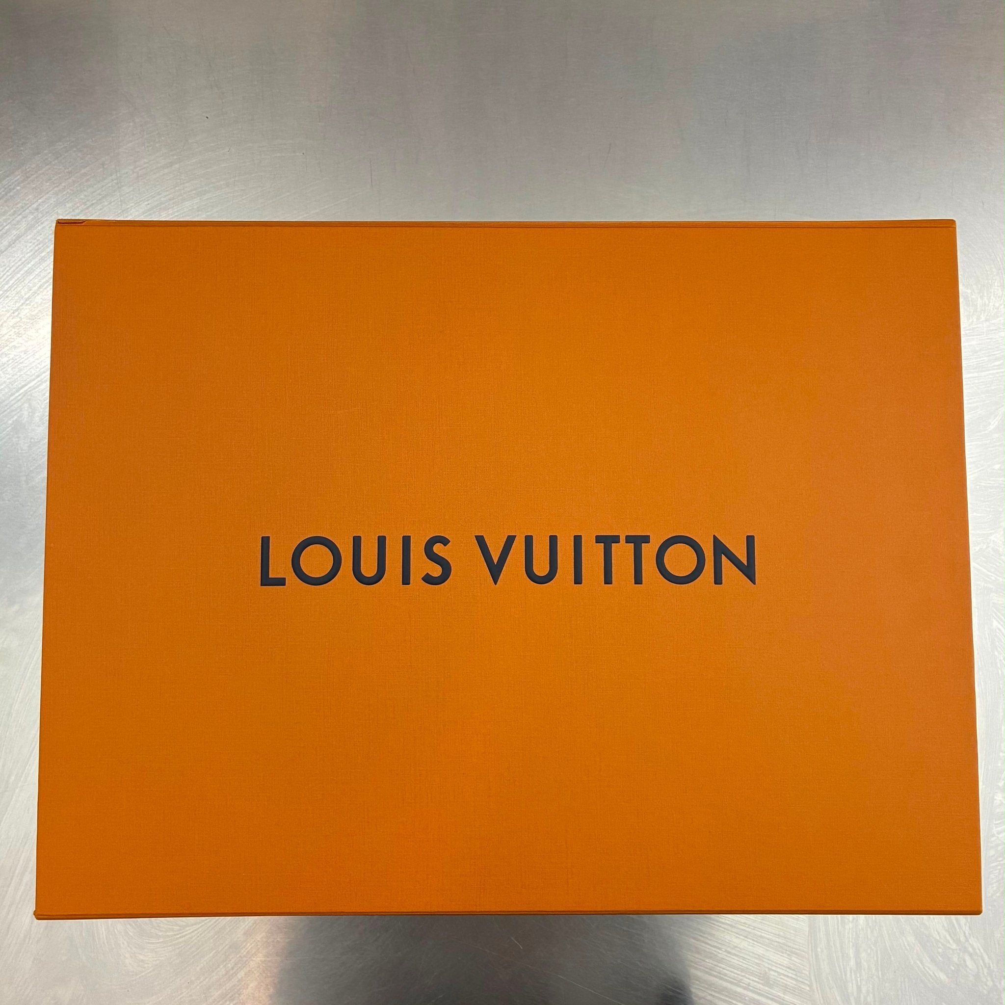 Louis Vuitton Anton Taiga