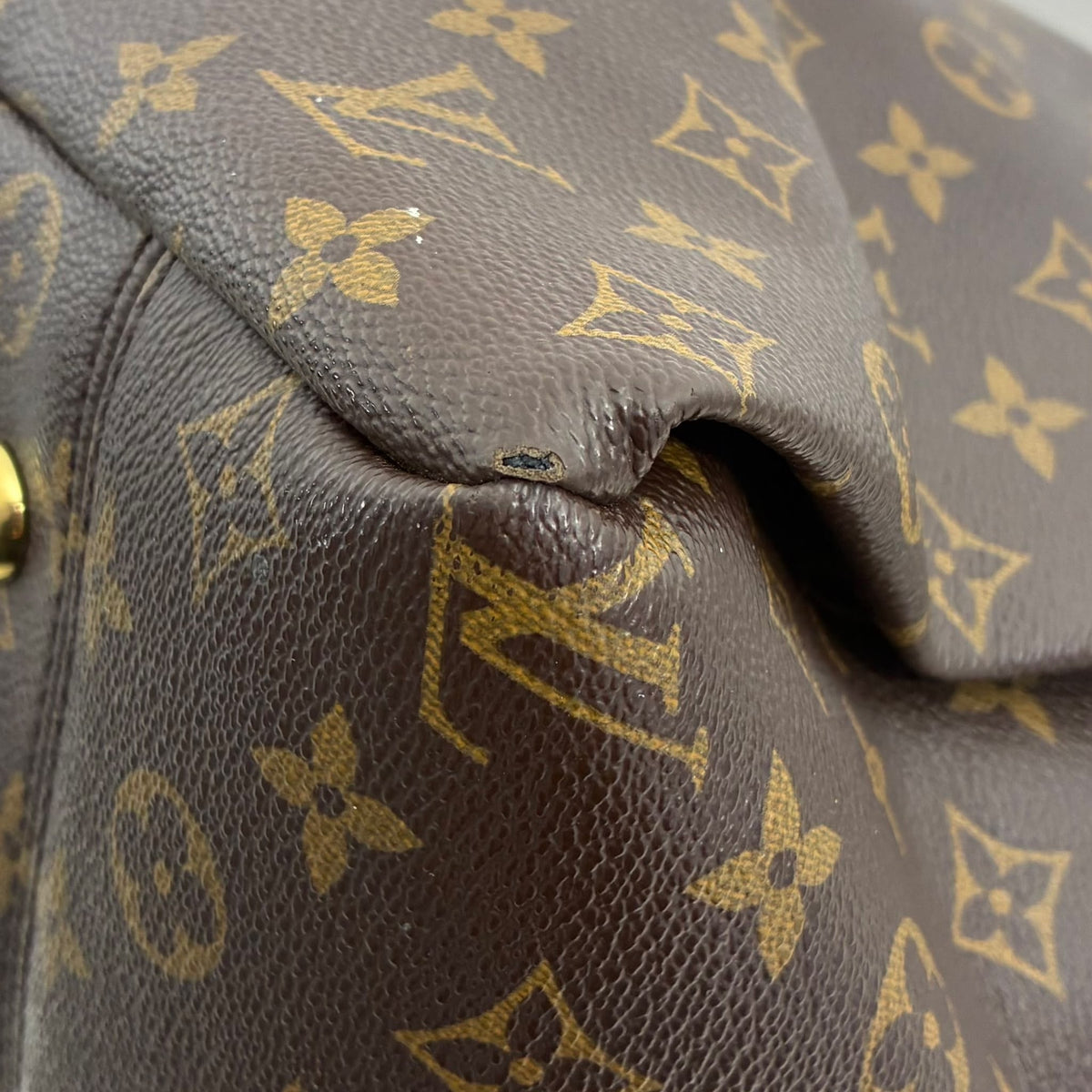Louis Vuitton Artsy MM Monogram