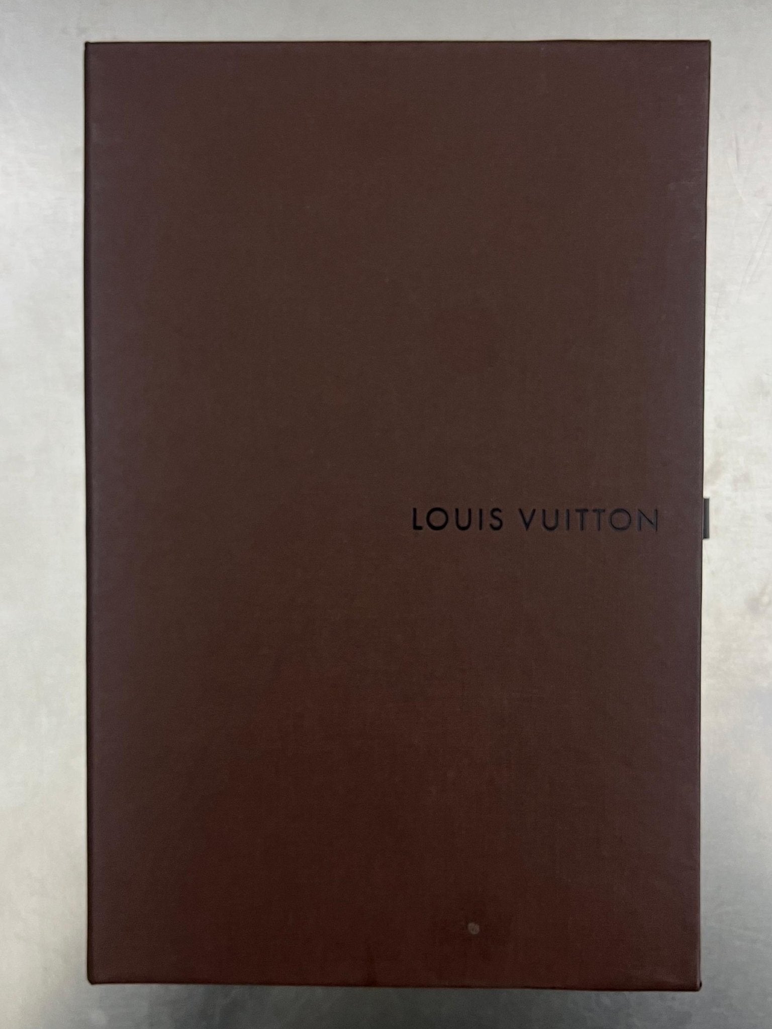 Louis Vuitton Brazza Epi