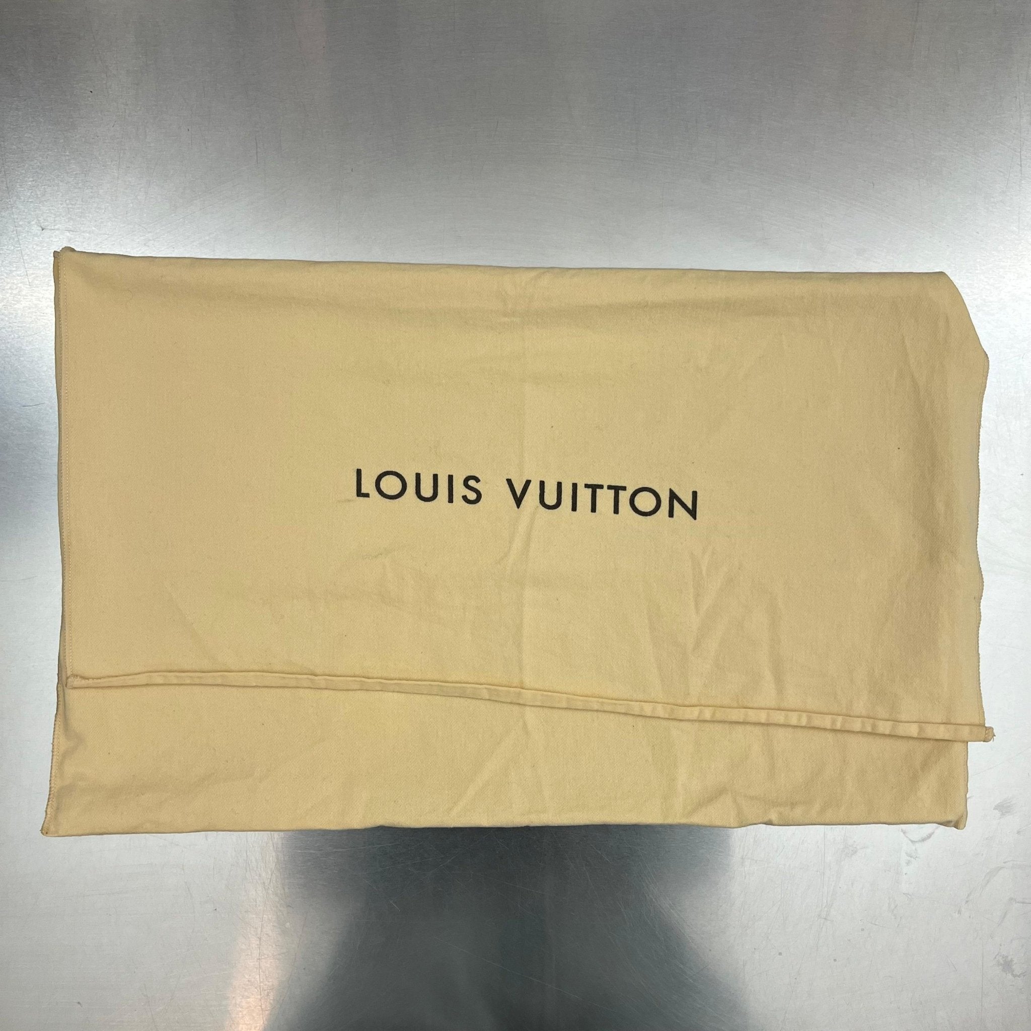 Louis Vuitton Brea MM Epi Electric