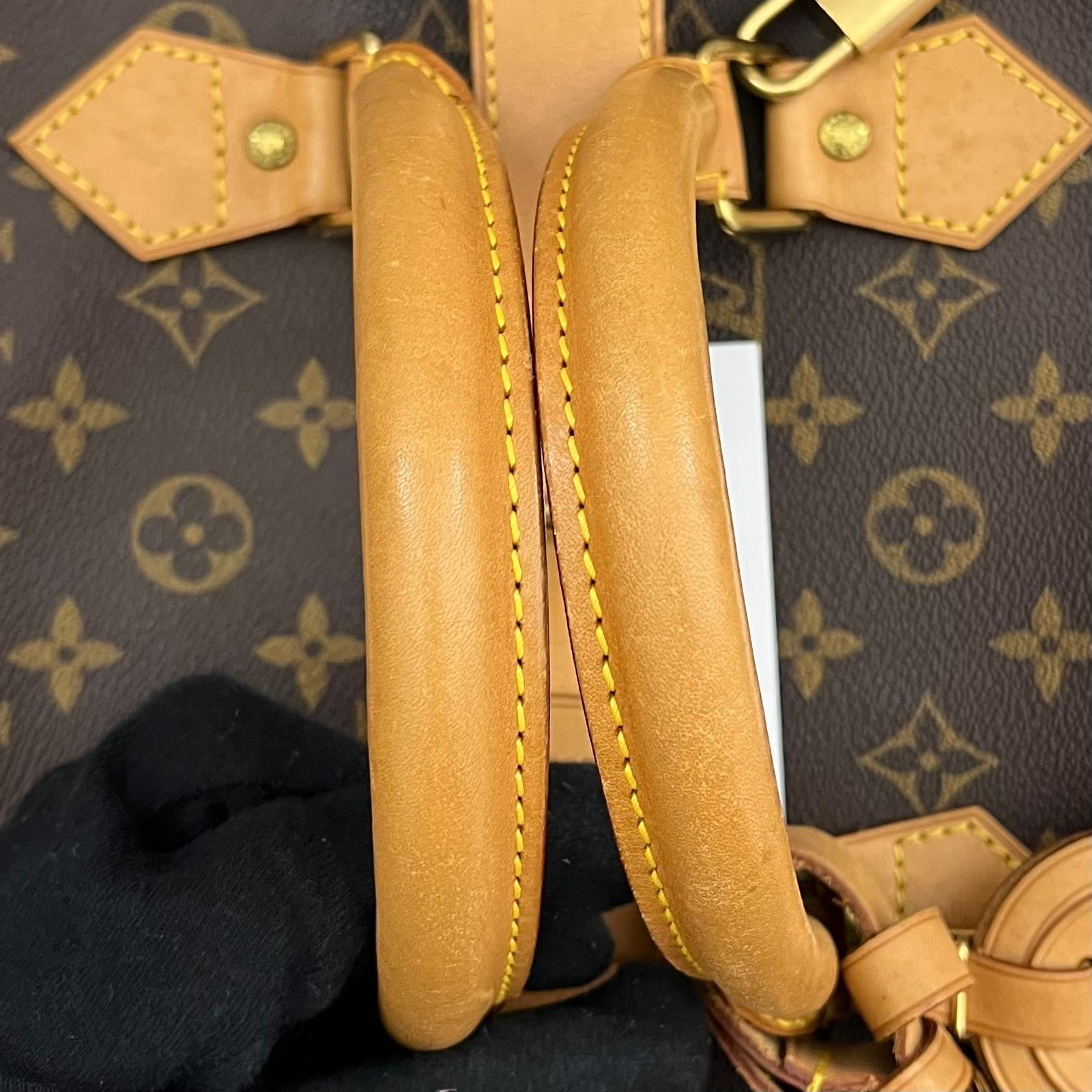 Louis Vuitton Cruiser 40 Monogram