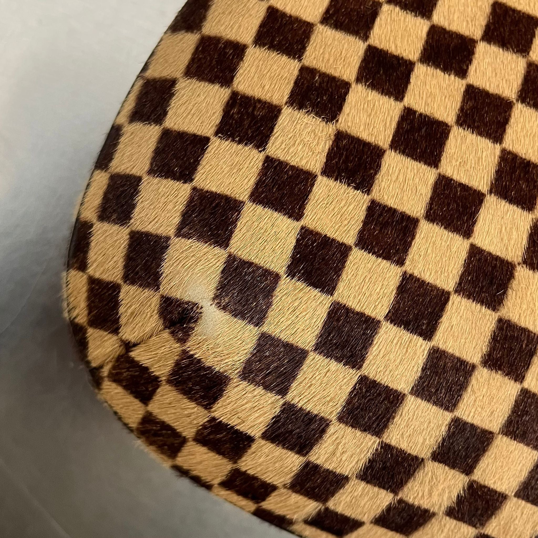 Louis Vuitton Damier Sauvage Tiger