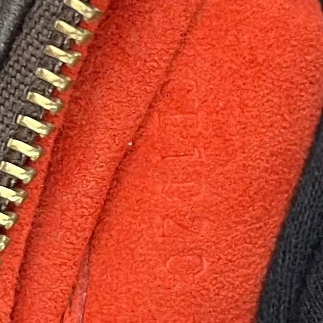 Louis Vuitton Damier Sauvage Tiger