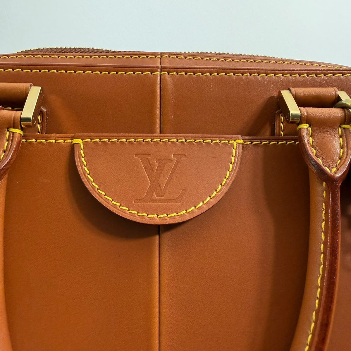 Louis Vuitton Negev PM Nomade