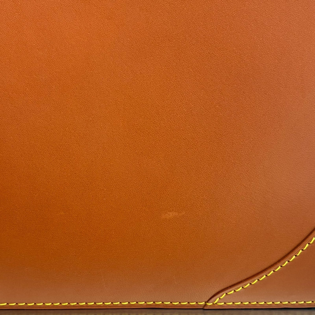 Louis Vuitton Negev PM Nomade