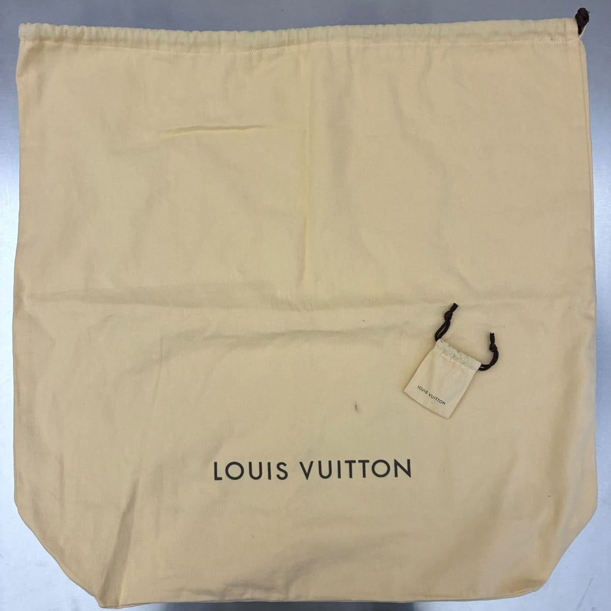 Louis Vuitton Néo Kendall