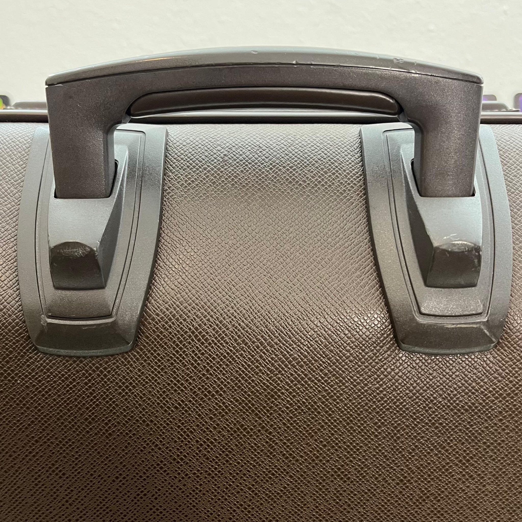 Louis Vuitton Pegase 45 Taiga Grizzly