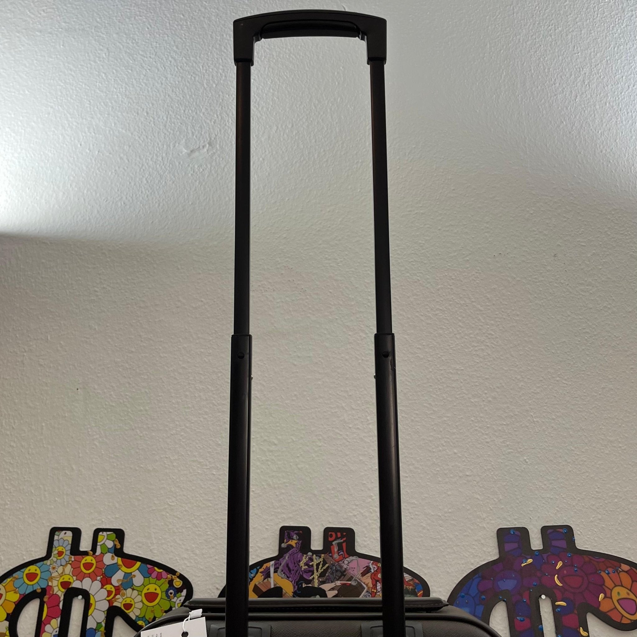 Louis Vuitton Pegase 45 Taiga Grizzly