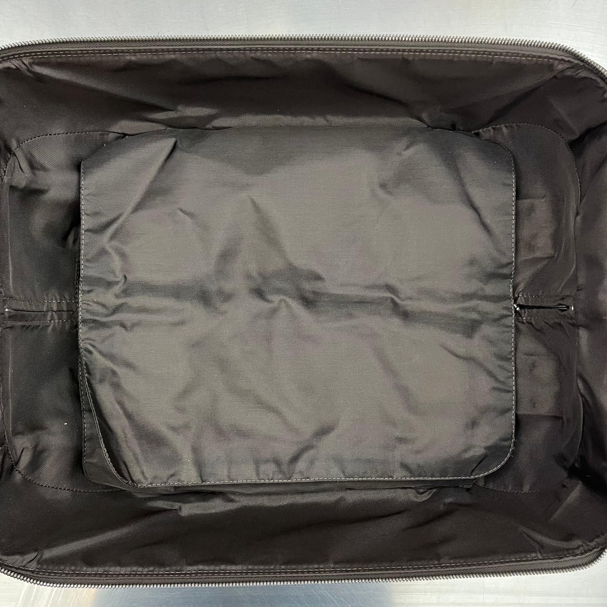 Louis Vuitton Pegase 45 Taiga Grizzly