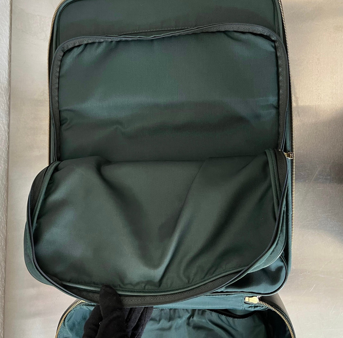 Louis Vuitton Pegase 50 Taiga