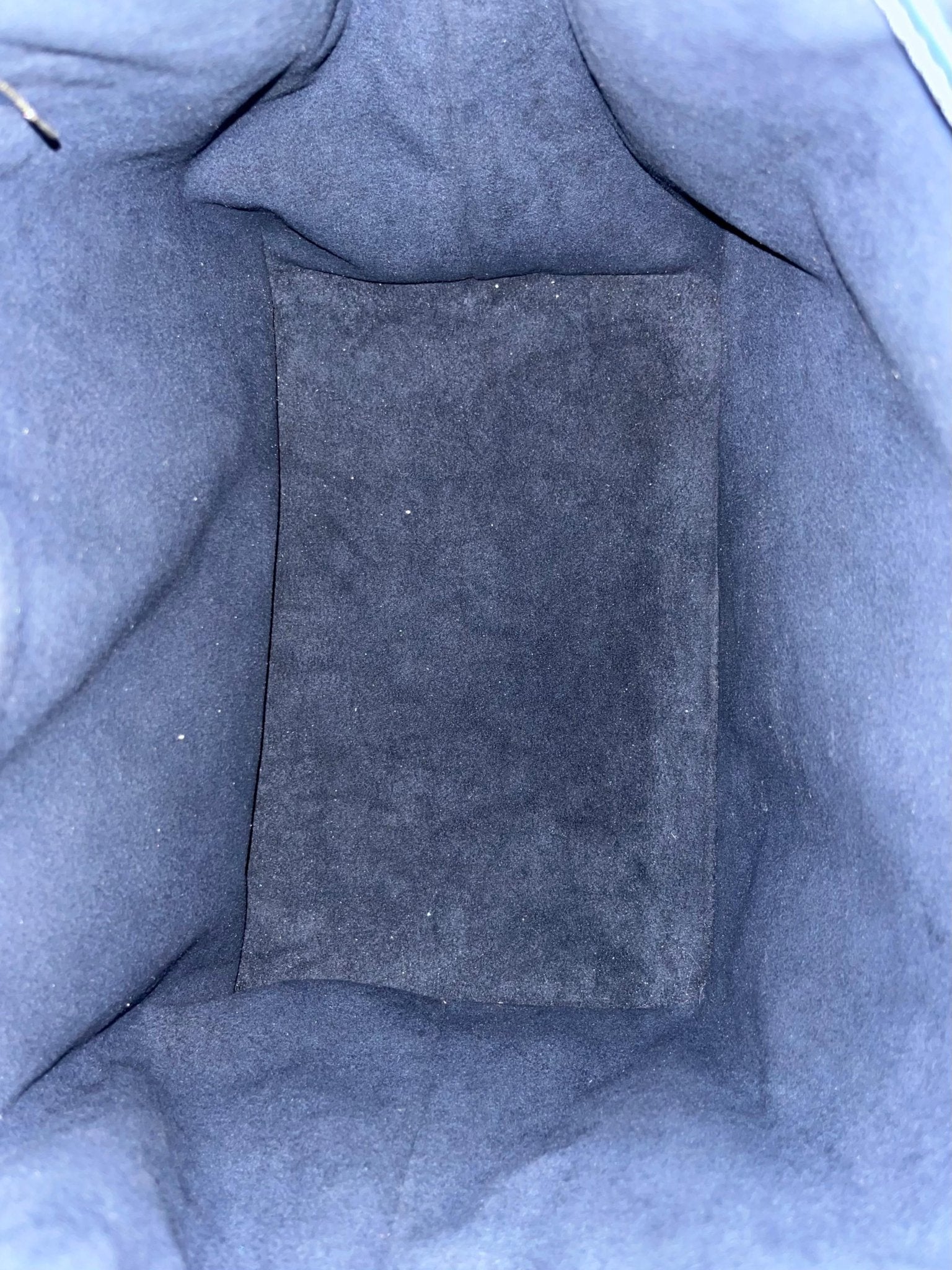 Louis Vuitton Sac Noé Bicolor Petit Epi