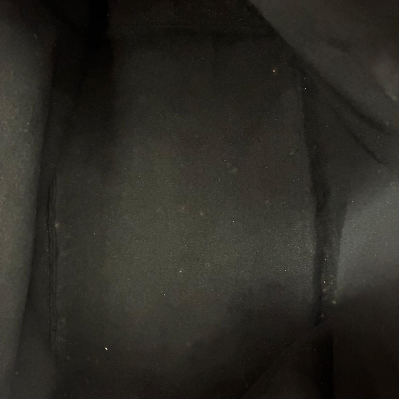 Louis Vuitton Sac Noé Petit Epi