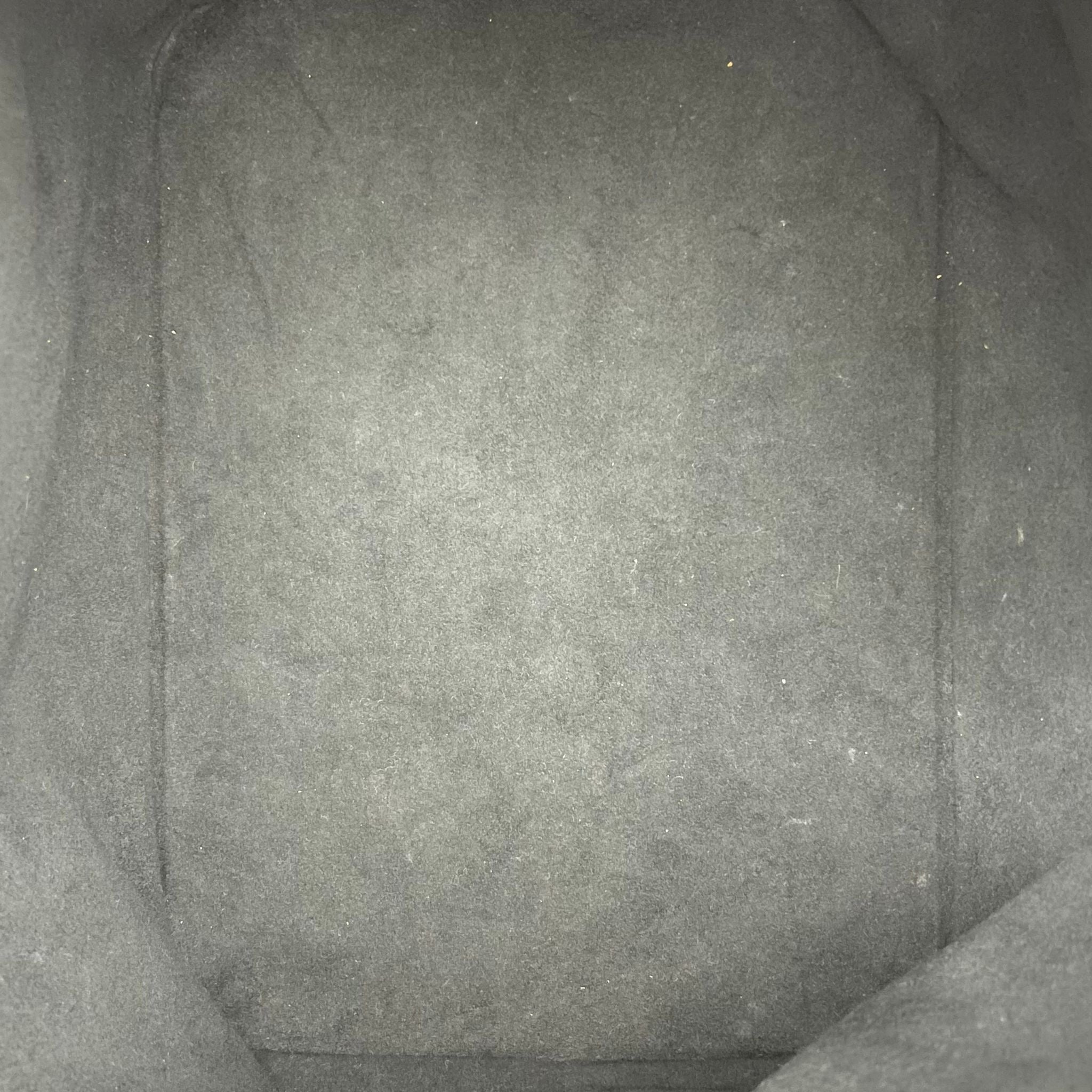 Louis Vuitton Sac Noè Petit Epi