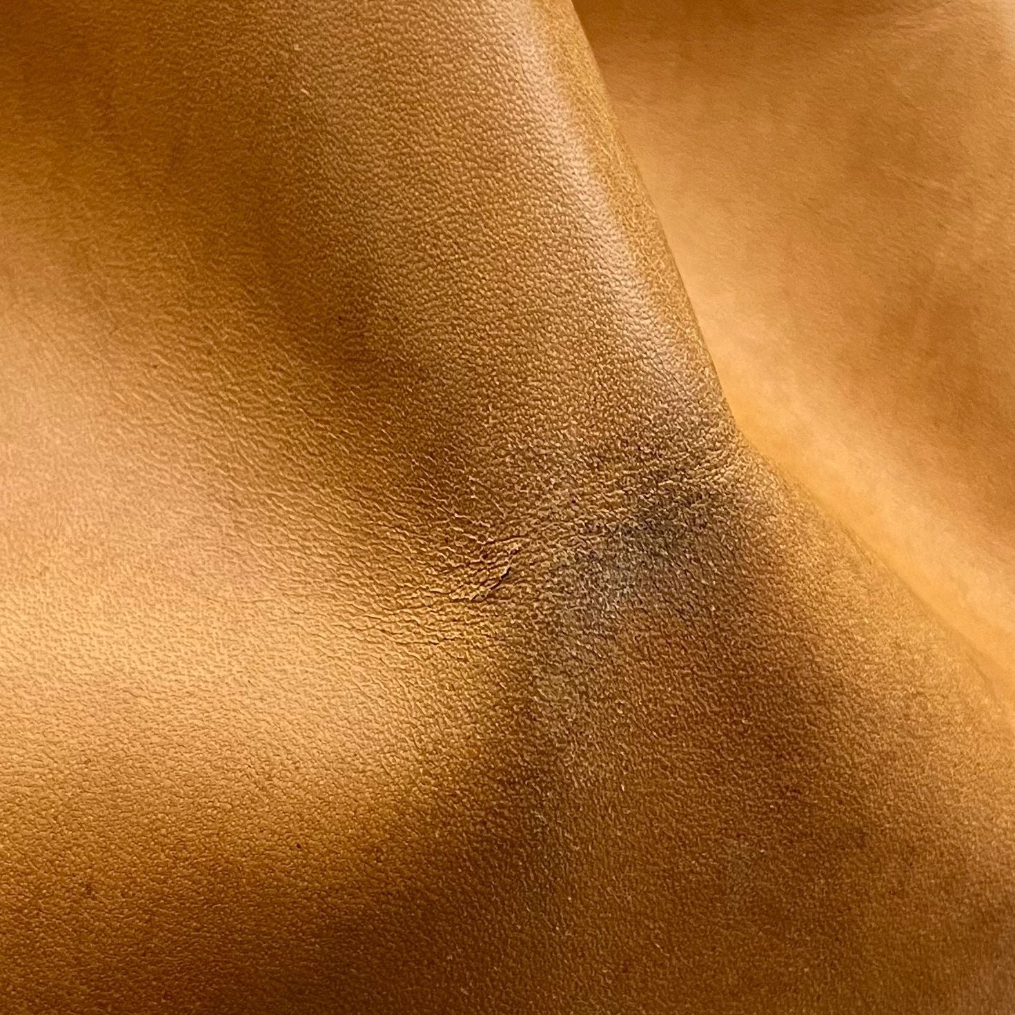 Louis Vuitton Sac Noé Petit Nomade
