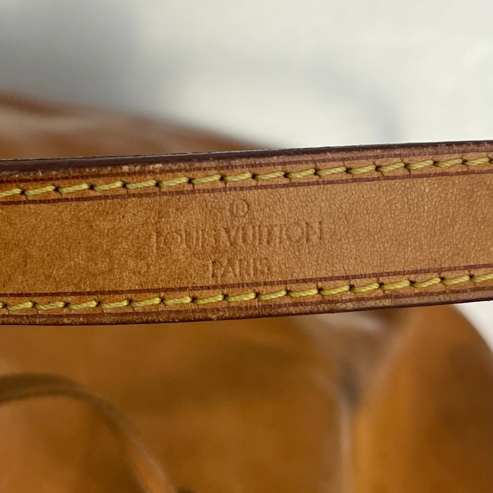 Louis Vuitton Sac Noé Petit Nomade