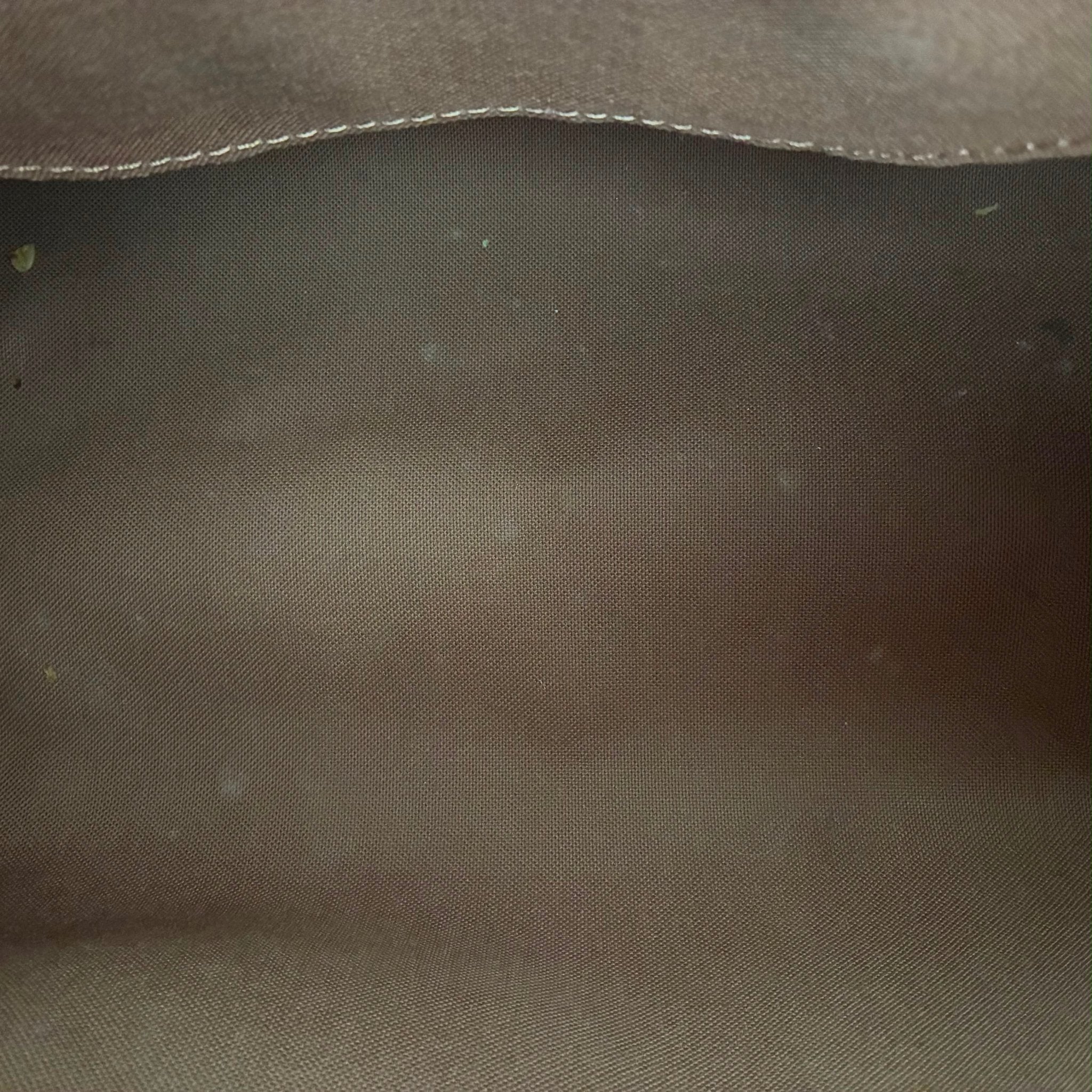 Louis Vuitton Seedy 25 Monogram