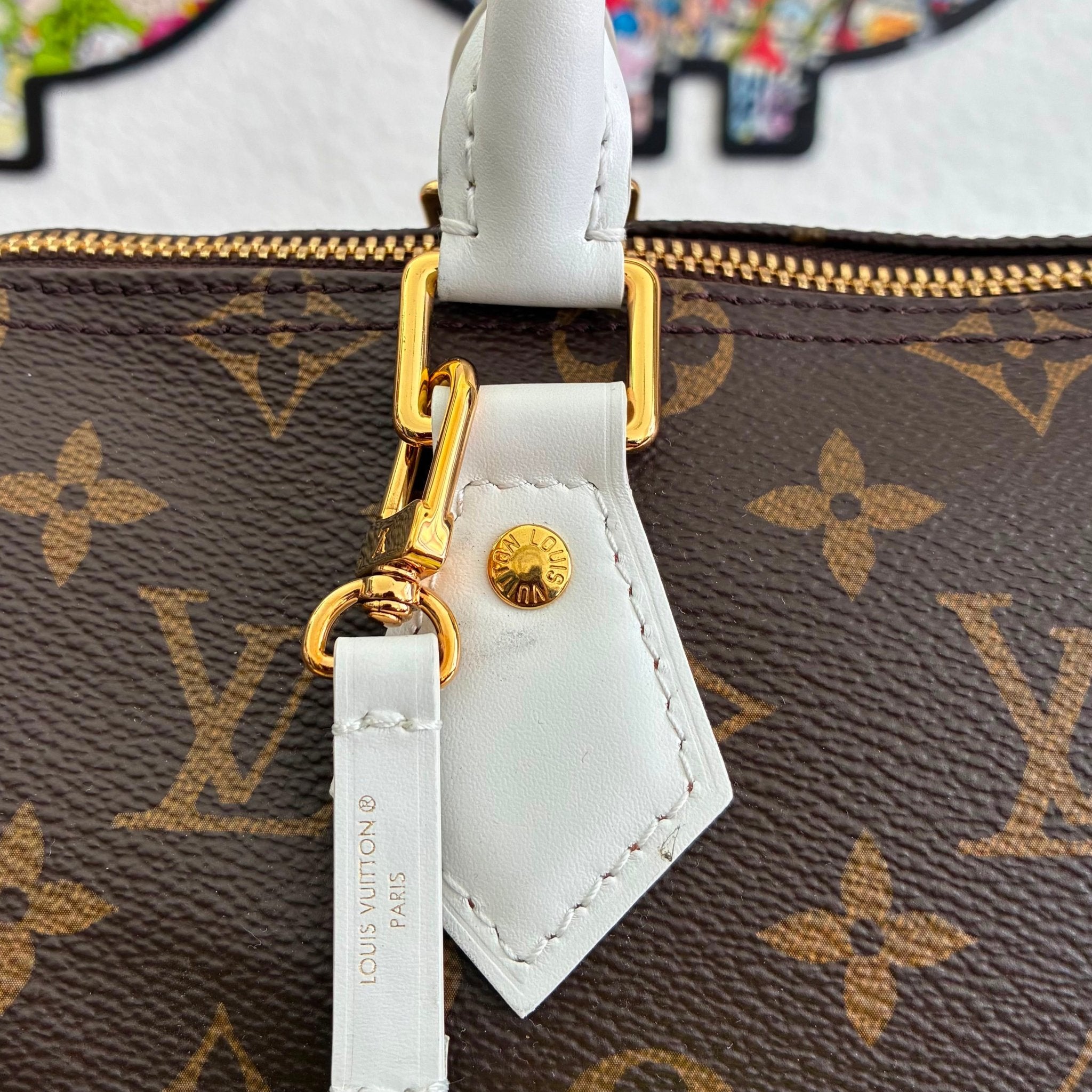 Louis Vuitton Seedy 25 Monogram