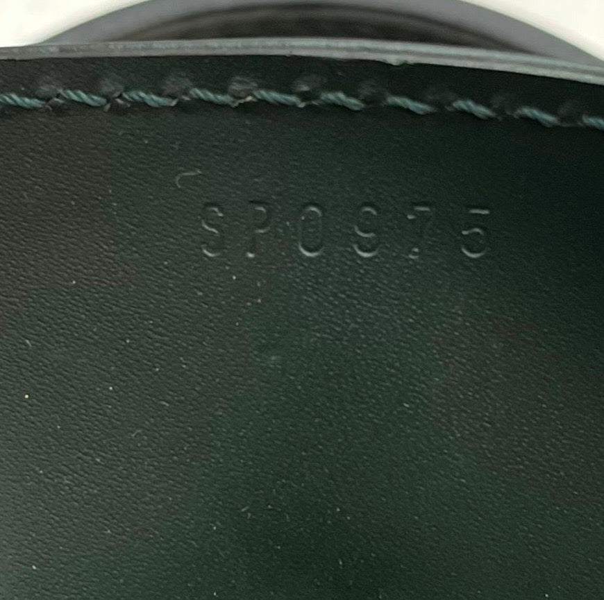 Louis Vuitton Taiga Bering Kleiderhülle