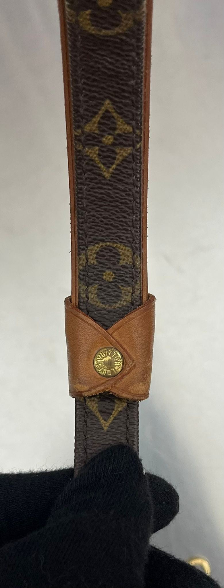 Louis Vuitton Baxter PM Leine mit Halsband