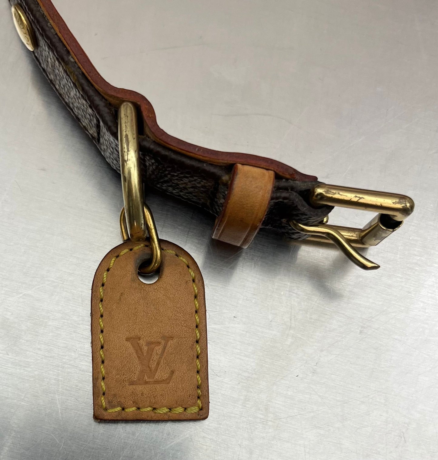 Louis Vuitton Baxter PM Leine mit Halsband