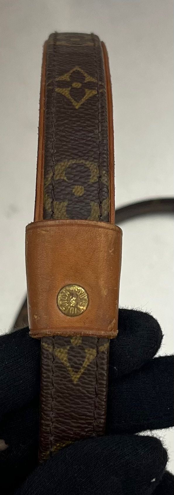 Louis Vuitton Baxter PM Leine mit Halsband