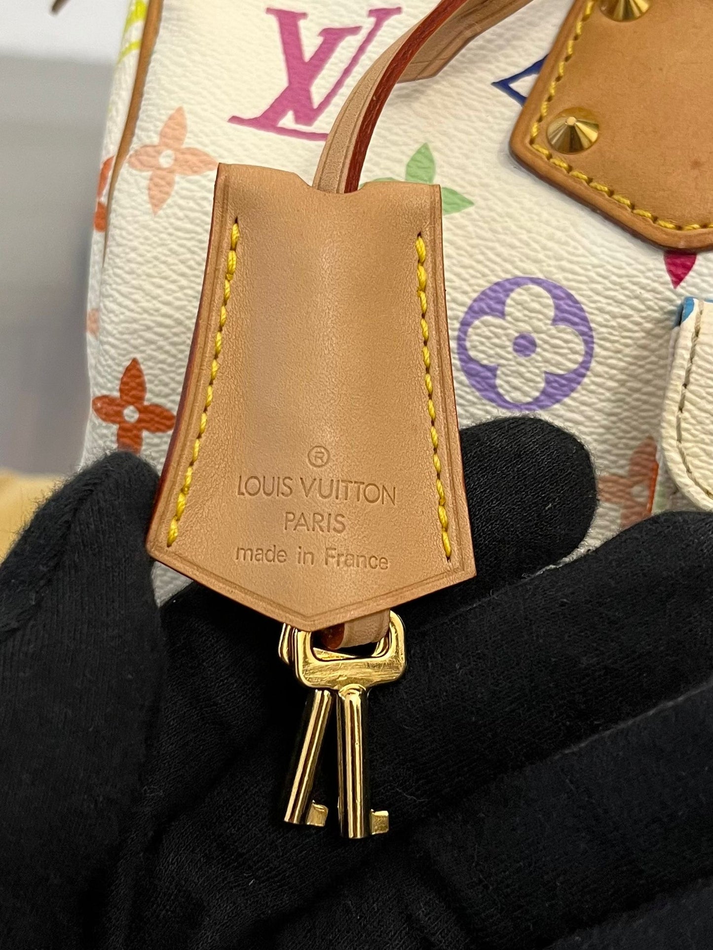 Louis Vuitton Speedy 30 Multicolor x Takashi Murakami
