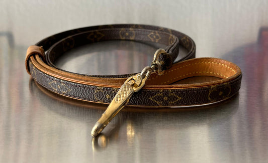 Louis Vuitton Baxter MM Leine