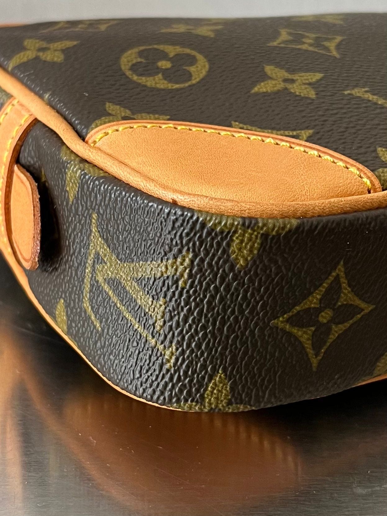 Louis Vuitton Marly Dragonne PM
