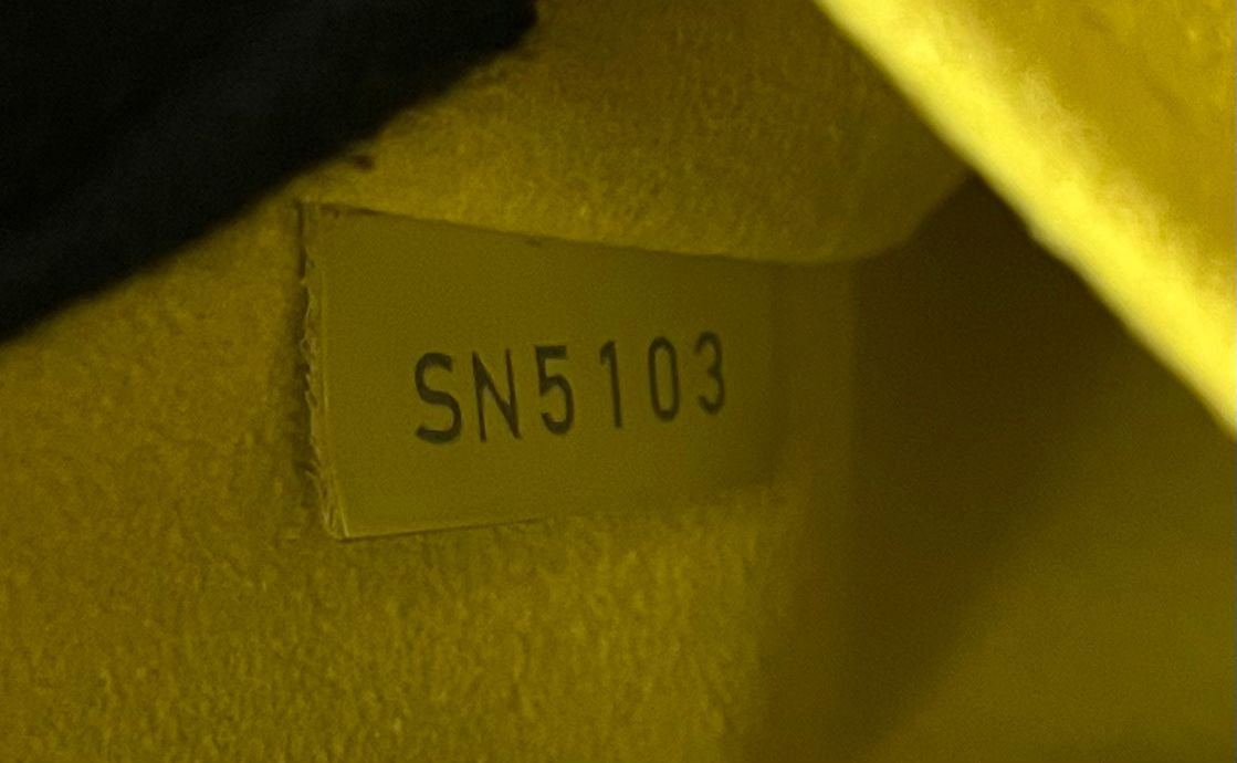 Louis Vuitton Alma PM Epi