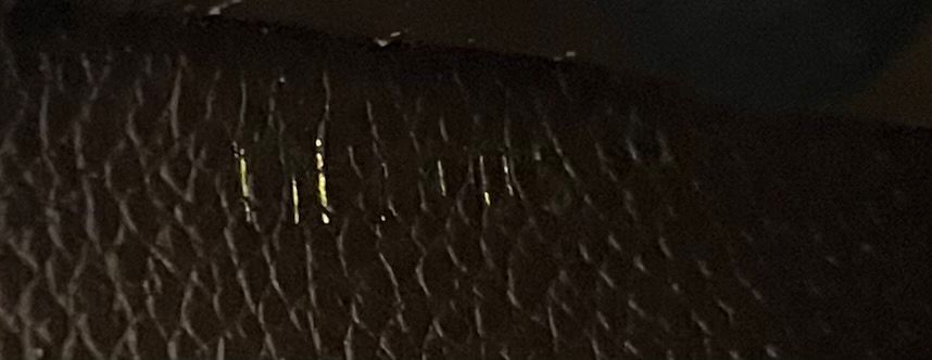 Louis Vuitton Zippy Monogram Empreinte