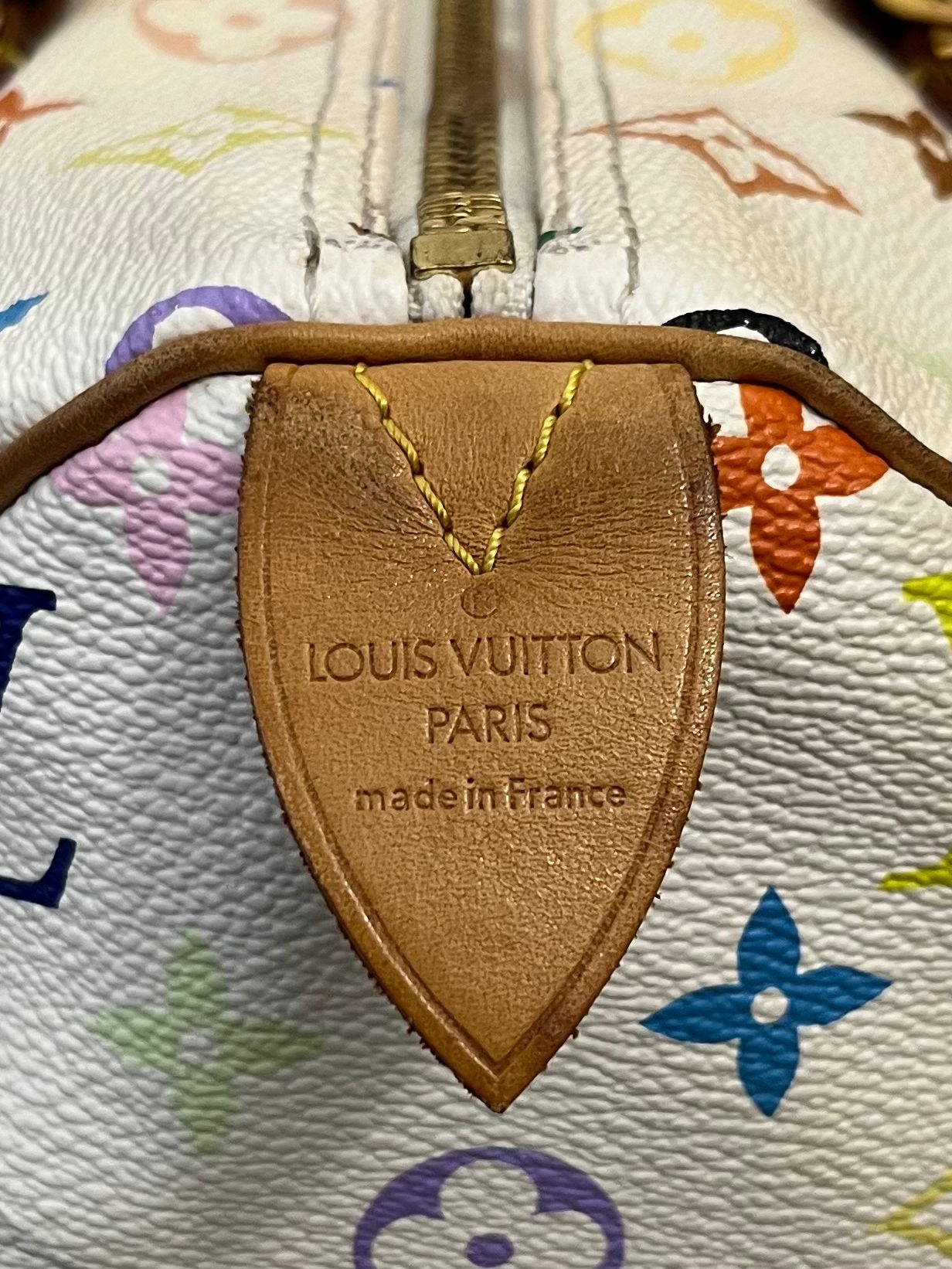 Louis Vuitton Speedy 30 Multicolor x Takashi Murakami