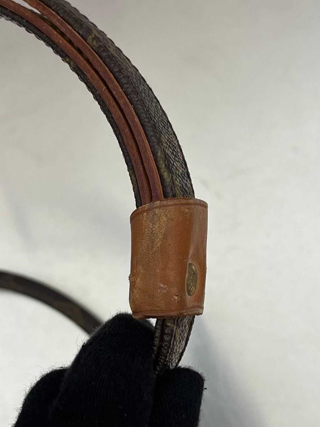 Louis Vuitton Baxter PM Leine mit Halsband