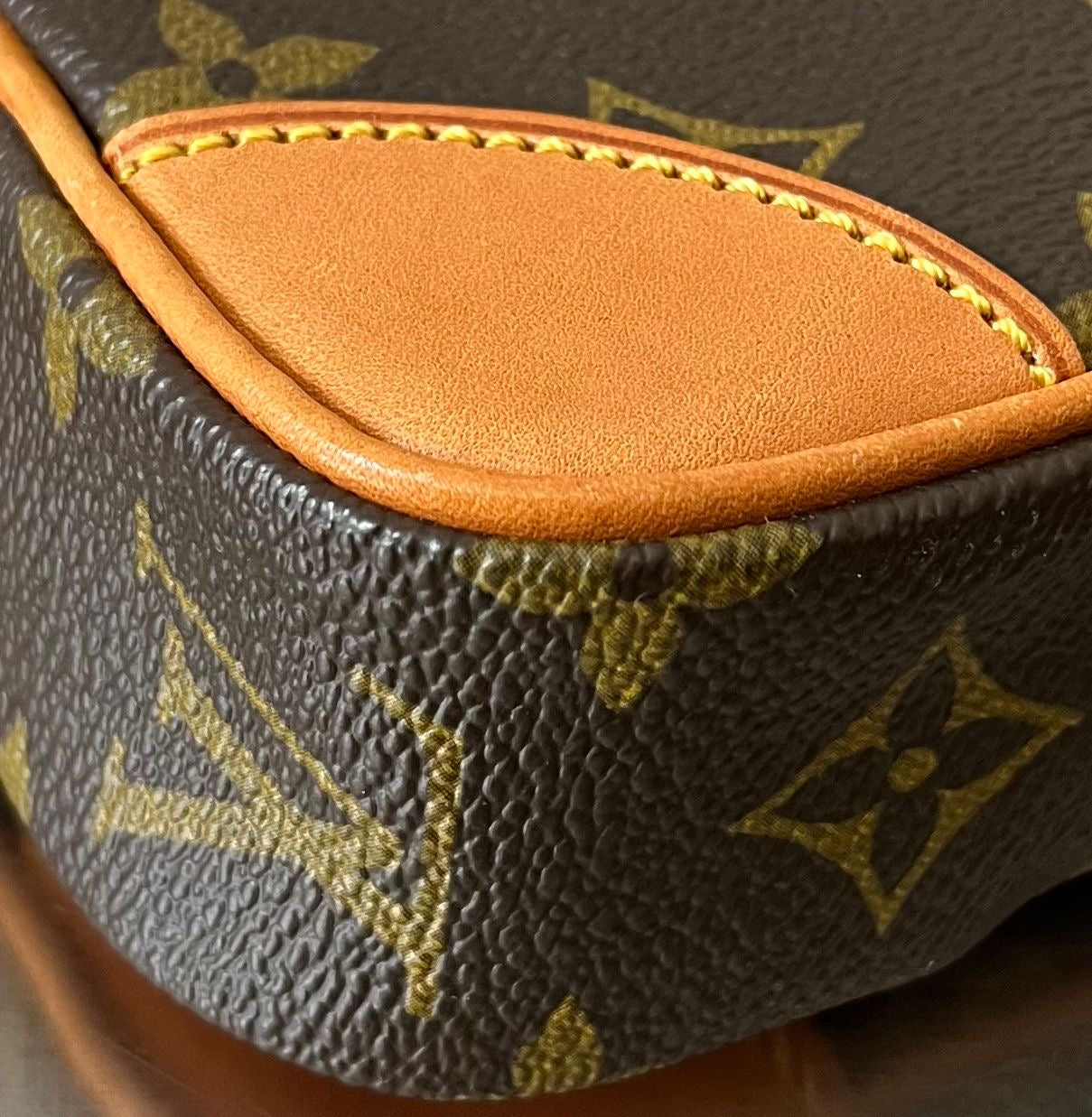 Louis Vuitton Marly Dragonne PM