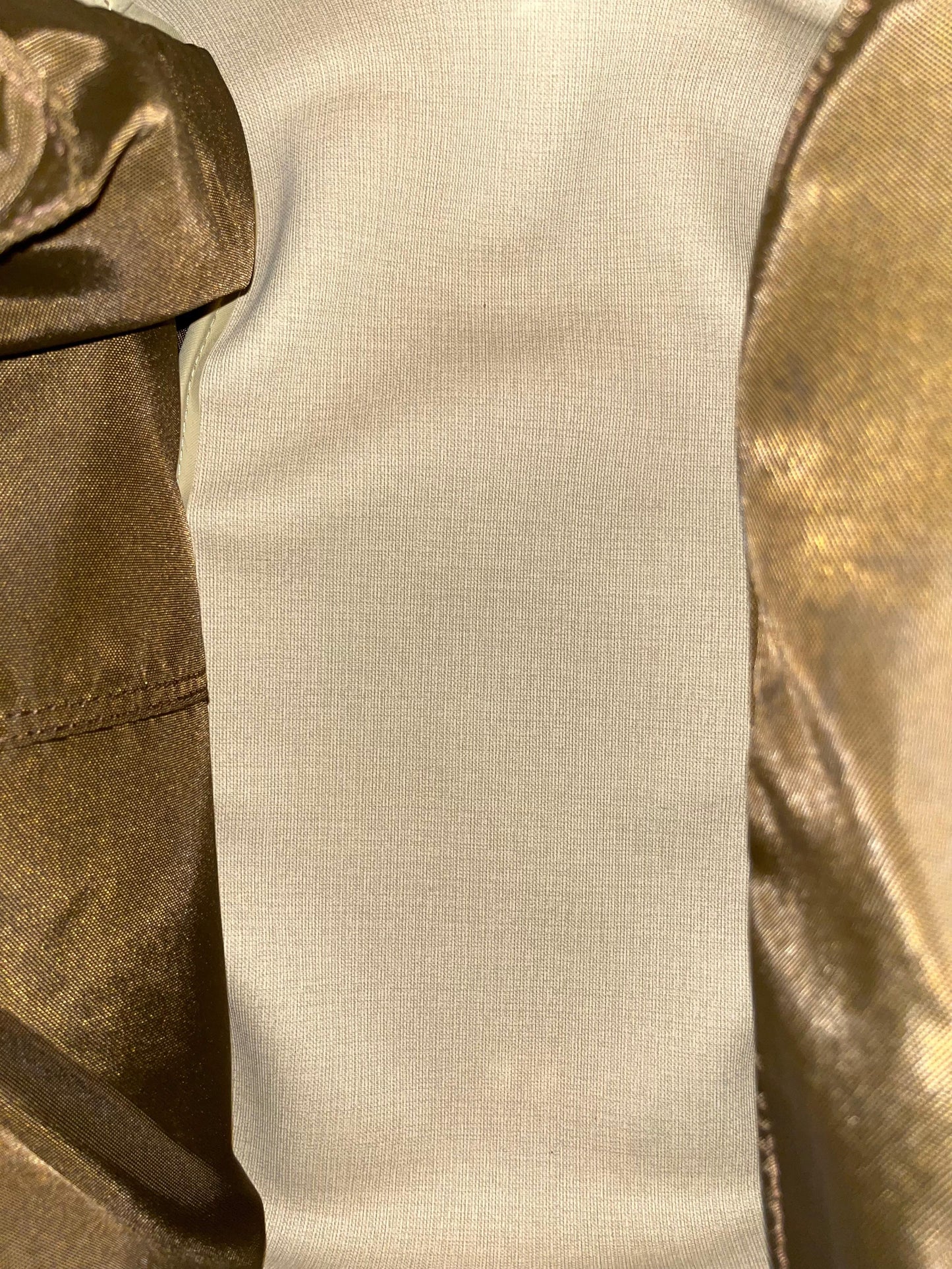 Louis Vuitton Evasion