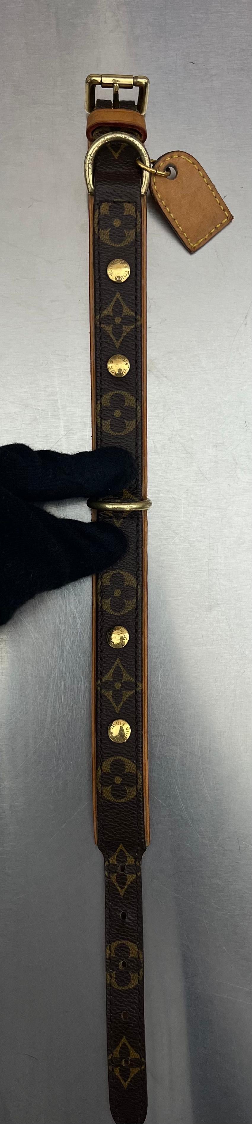 Louis Vuitton Baxter PM Leine mit Halsband