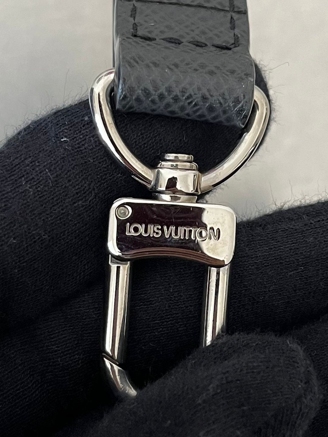 Louis Vuitton Neo Pavel Taiga