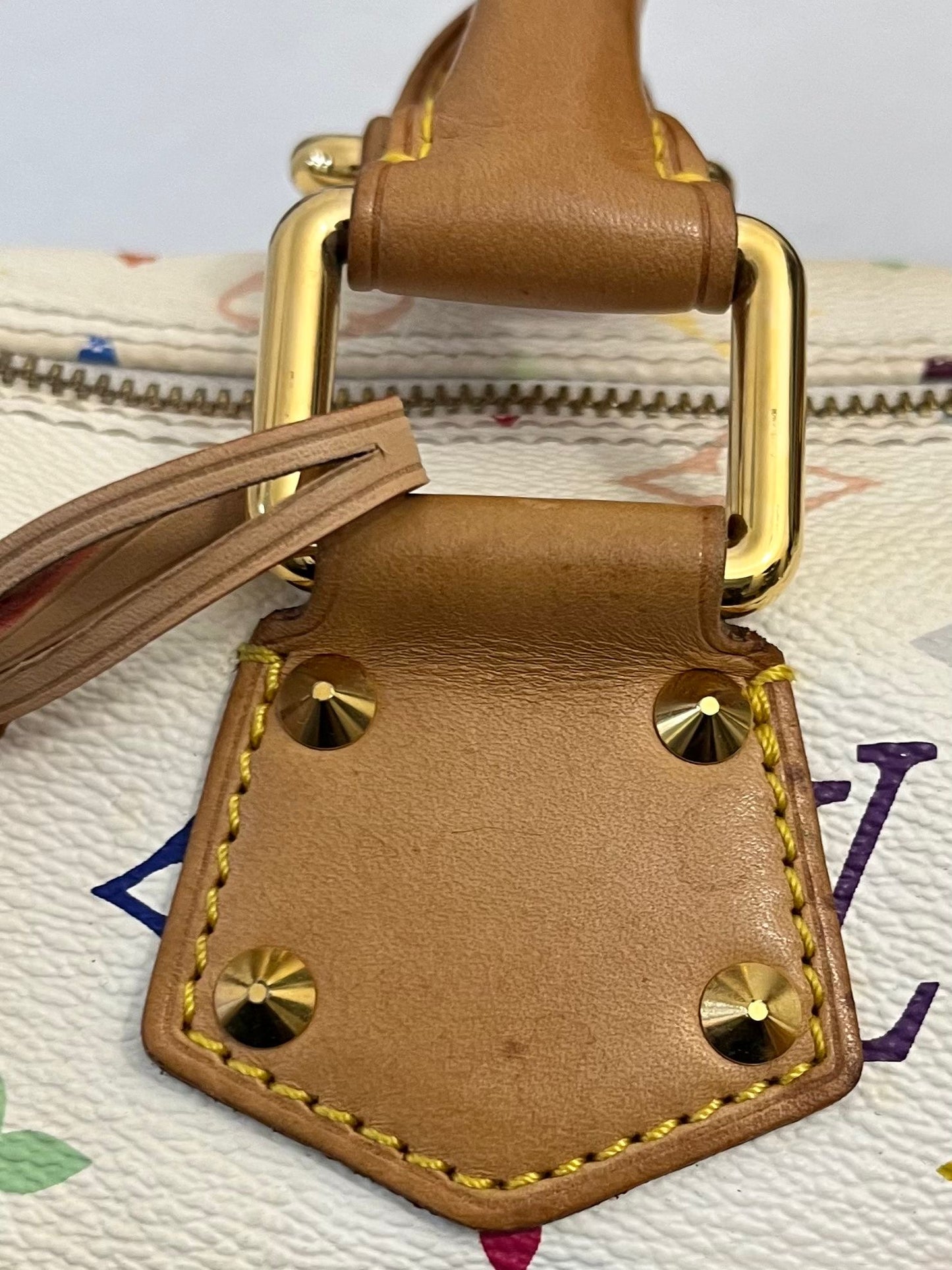 Louis Vuitton Speedy 30 Multicolor x Takashi Murakami