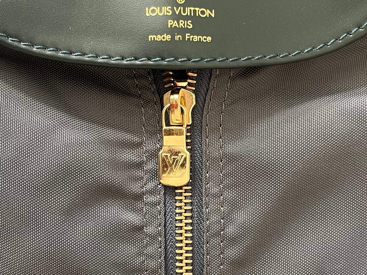 Louis Vuitton Taiga Bering Kleiderhülle
