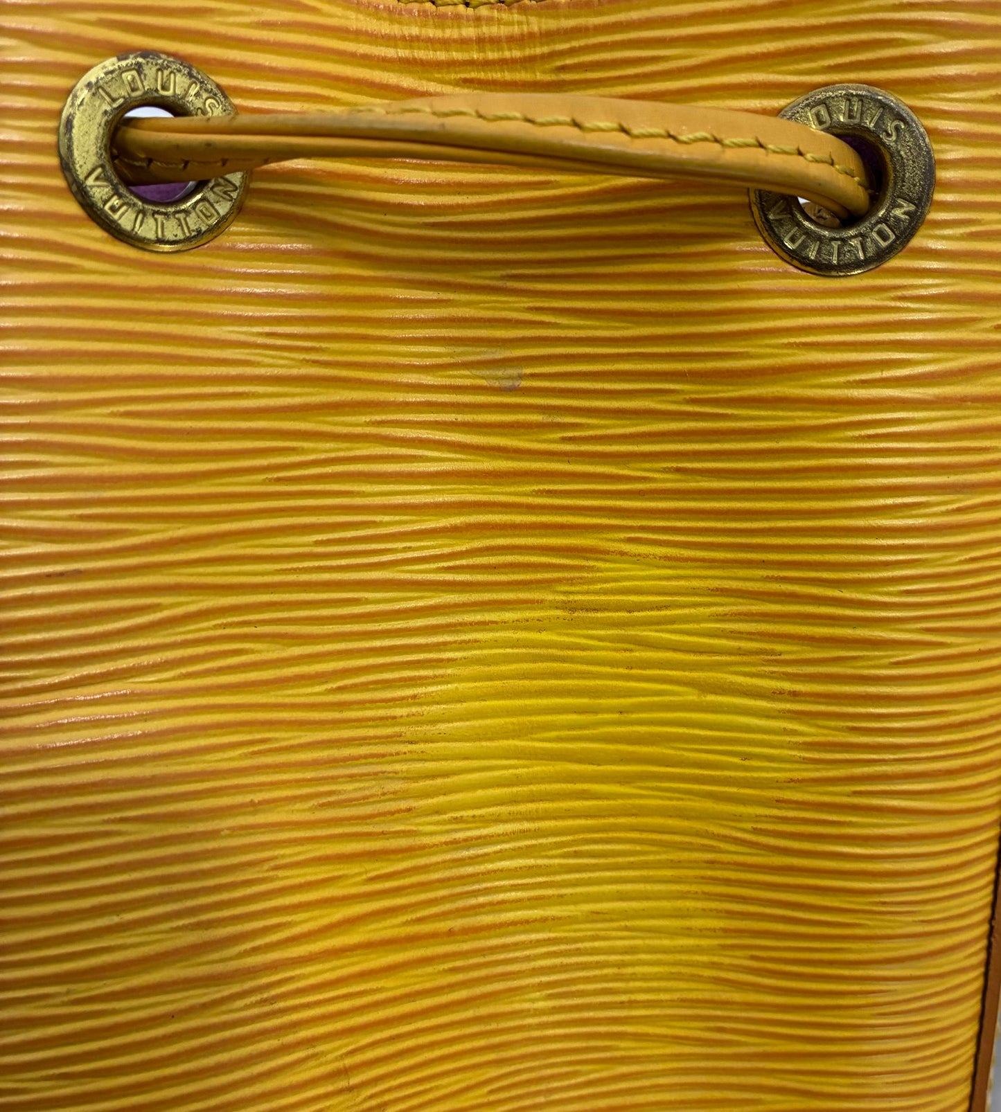Louis Vuitton Sac Noé Petit EPI