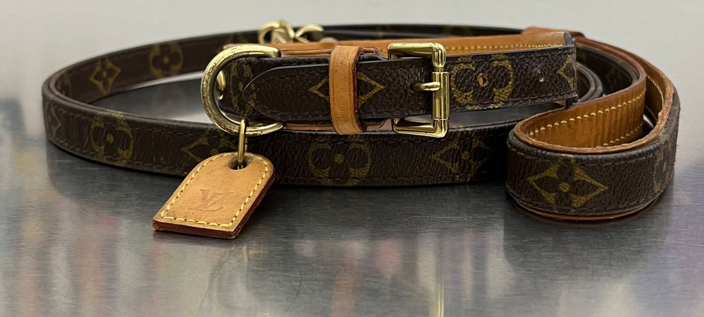 Louis Vuitton Baxter PM Leine mit Halsband