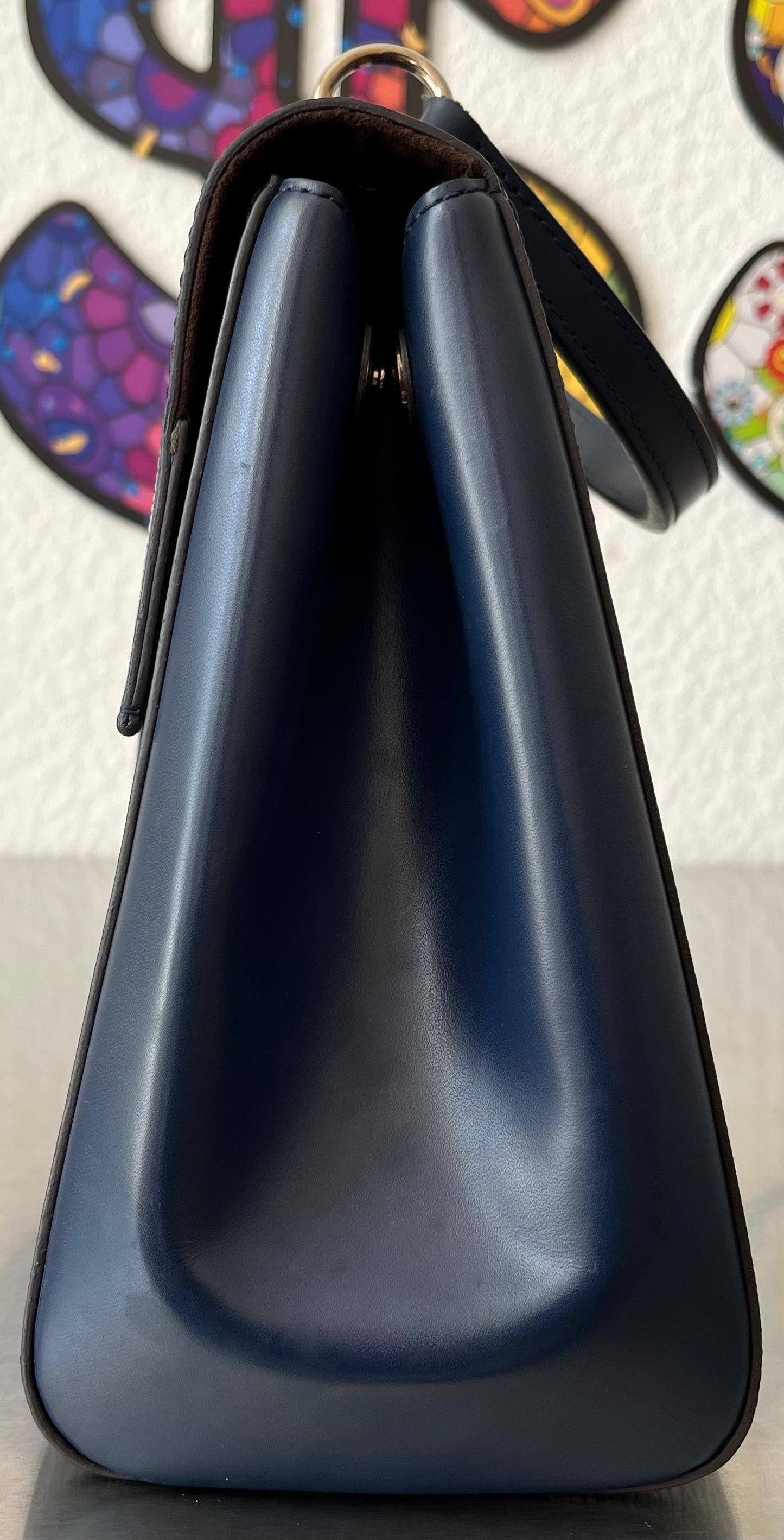 Louis Vuitton Cluny MM Epi